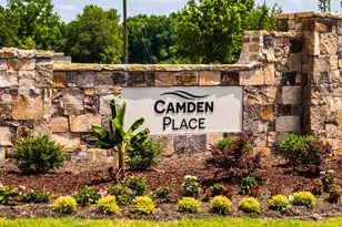 290 Blue Butterfly Dr, Angier, NC 27501 - Photo 16