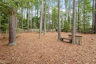 2435 Sedgefield Dr, Chapel Hill, NC 27514 - Photo 38
