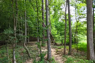 1002 Surry Dale Ct, Apex, NC 27502 - Photo 70