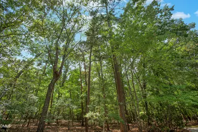 10824 Rondeau Woods Court, Raleigh, NC 27614 - Photo 64
