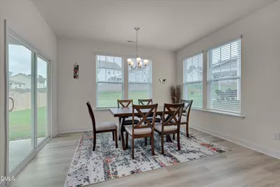 60 Steel Springs Lane, Angier, NC 27501 - Photo 16