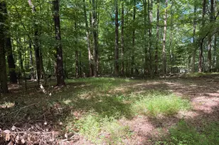 1753 Old Lystra Rd, Chapel Hill, NC 27517 - Photo 1