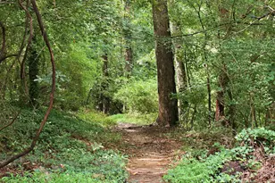 250 S Estes Dr, Chapel Hill, NC 27514 - Photo 42