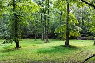 7036 Sirius Ln, Raleigh, NC 27614 - Photo 84
