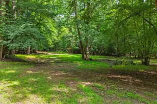 7036 Sirius Ln, Raleigh, NC 27614 - Photo 86
