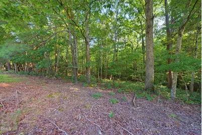 100 Sloping Pond Road, Pittsboro, NC 27312 - Photo 12