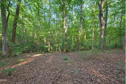 100 Sloping Pond Road, Pittsboro, NC 27312 - Photo 10