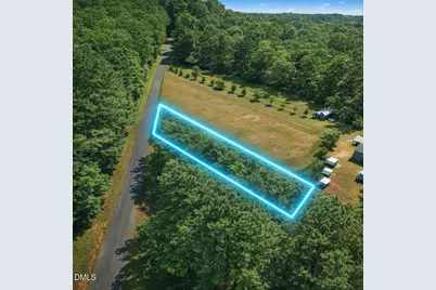 0 Otis Donnell Nixon Road, Evergreen, NC 28438 - Photo 6