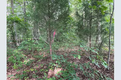 00 Chatham Church Road, Moncure, NC 27559 - Photo 8