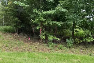 00 Chatham Church Rd, Moncure, NC 27559 - Photo 1