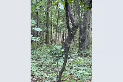 00 Chatham Church Road, Moncure, NC 27559 - Photo 12