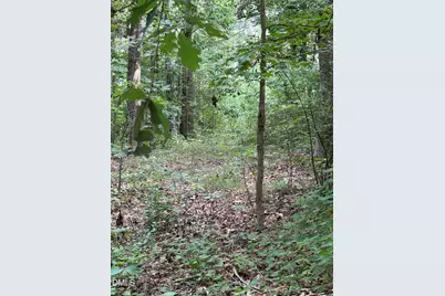 00 Chatham Church Road, Moncure, NC 27559 - Photo 16