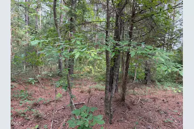 00 Chatham Church Road, Moncure, NC 27559 - Photo 10
