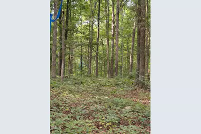 00 Chatham Church Road, Moncure, NC 27559 - Photo 14