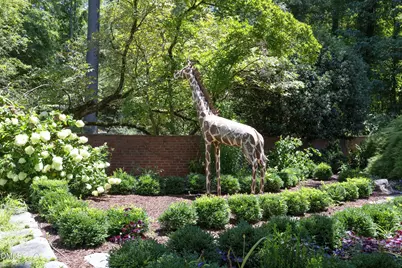 908 Greenwood Road, Chapel Hill, NC 27514 - Photo 66