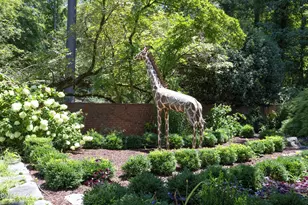 908 Greenwood Rd, Chapel Hill, NC 27514 - Photo 66