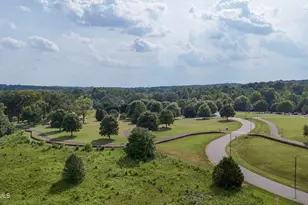106 Red Cardinal Ct, Youngsville, NC 27596 - Photo 50