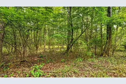 0 Blacks Road, Macon, NC 27551 - Photo 16