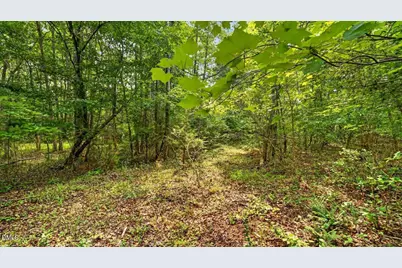 0 Blacks Road, Macon, NC 27551 - Photo 8