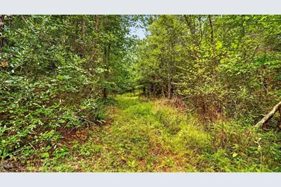 0 Blacks Road, Macon, NC 27551 - Photo 10