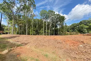 7429 Blantons Grove Way, Wake Forest, NC 27587 - Photo 2