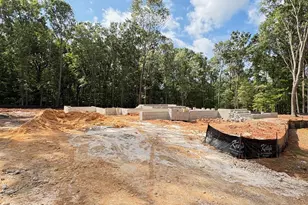 7424 Blantons Grove Way, Wake Forest, NC 27587 - Photo 2