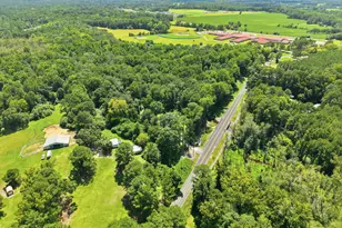388 Turlington Rd, Dunn, NC 28334 - Photo 34