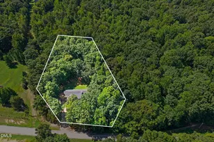 6045 Cane Creek Rd, Snow Camp, NC 27349 - Photo 34