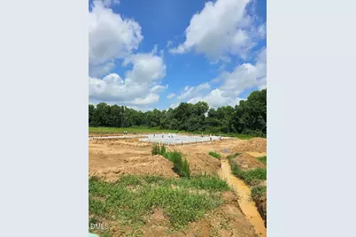 297 Margot Manor Drive, Benson, NC 27504 - Photo 2
