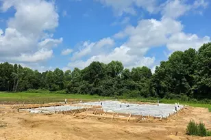 297 Margot Manor Dr, Benson, NC 27504 - Photo 6