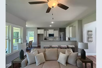 25 Mineral Springs Way, Benson, NC 27504 - Photo 12