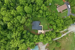70 Strawberry Springs Dr, Hurdle Mills, NC 27541 - Photo 46