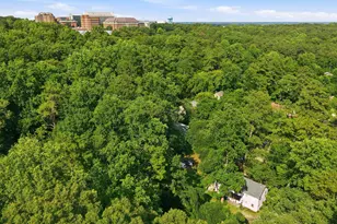 407 Coolidge St, Chapel Hill, NC 27516 - Photo 4