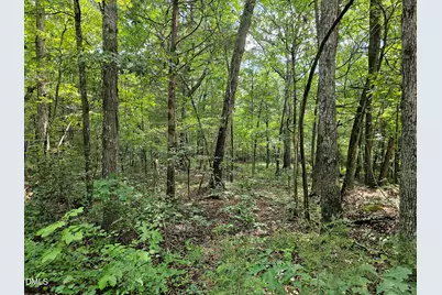 625 Harts Creek Drive, Pittsboro, NC 27312 - Photo 2