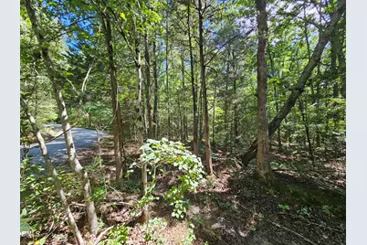 625 Harts Creek Drive, Pittsboro, NC 27312 - Photo 4