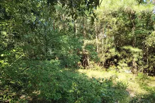 486 Creech Johnson Rd, Zebulon, NC 27597 - Photo 8