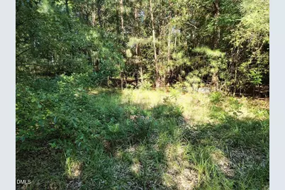 486 Creech Johnson Road, Zebulon, NC 27597 - Photo 10
