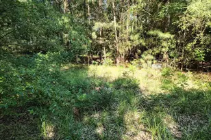 486 Creech Johnson Rd, Zebulon, NC 27597 - Photo 10