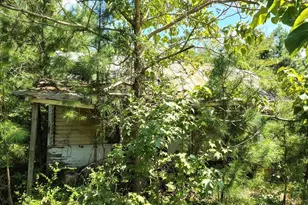 486 Creech Johnson Rd, Zebulon, NC 27597 - Photo 6