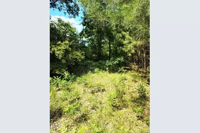 486 Creech Johnson Road, Zebulon, NC 27597 - Photo 4