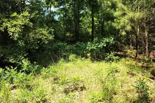 486 Creech Johnson Rd, Zebulon, NC 27597 - Photo 4