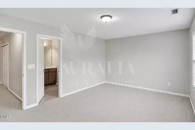 255 Hampshire Downs Drive, Morrisville, NC 27560 - Photo 18