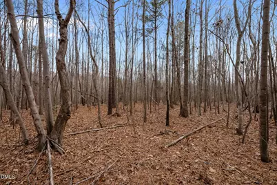 10.75 Acre Neal's Store Road, Roxboro, NC 27574 - Photo 10