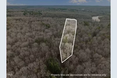 10.75 Acre Neal's Store Road, Roxboro, NC 27574 - Photo 4