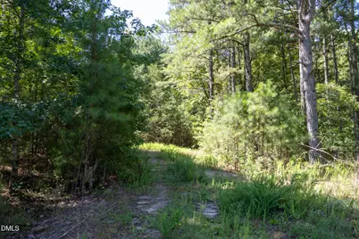 3132 Walters Road, Creedmoor, NC 27522 - Photo 2