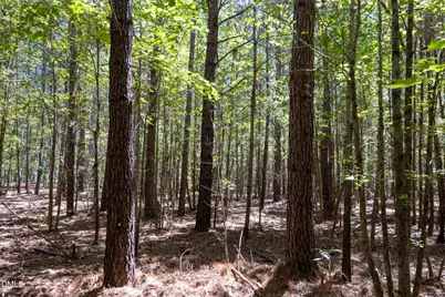 3132 Walters Road, Creedmoor, NC 27522 - Photo 10