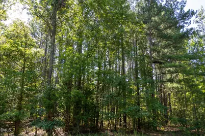 3132 Walters Road, Creedmoor, NC 27522 - Photo 4