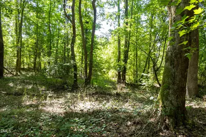 3132 Walters Road, Creedmoor, NC 27522 - Photo 12