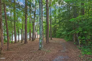 480 Fruit Hill Rd, Boydton, VA 23917 - Photo 16