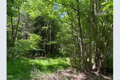 0 Thompson Mill Road, Graham, NC 27253 - Photo 2